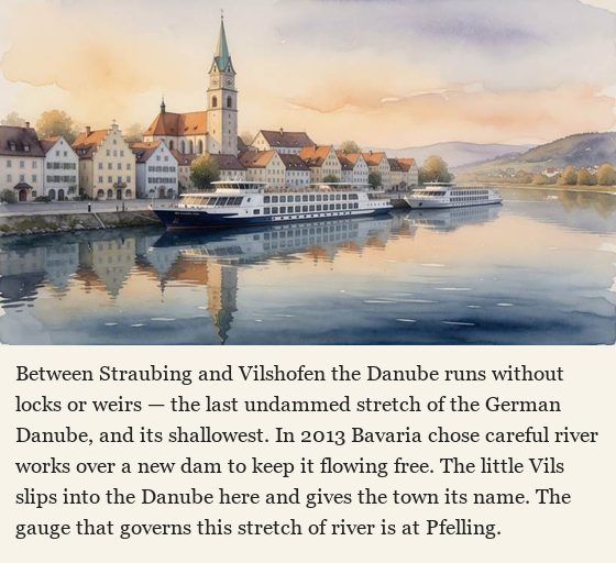 A curated note from the same report: a painted view of Vilshofen and its moored river ships at dawn, above the note that between Straubing and Vilshofen the Danube runs without locks or weirs — the last undammed stretch of the German Danube and its shallowest; that in 2013 Bavaria chose careful river works over a new dam to keep it flowing free; that the little Vils gives the town its name; and that the gauge that governs this stretch of river is at Pfelling.